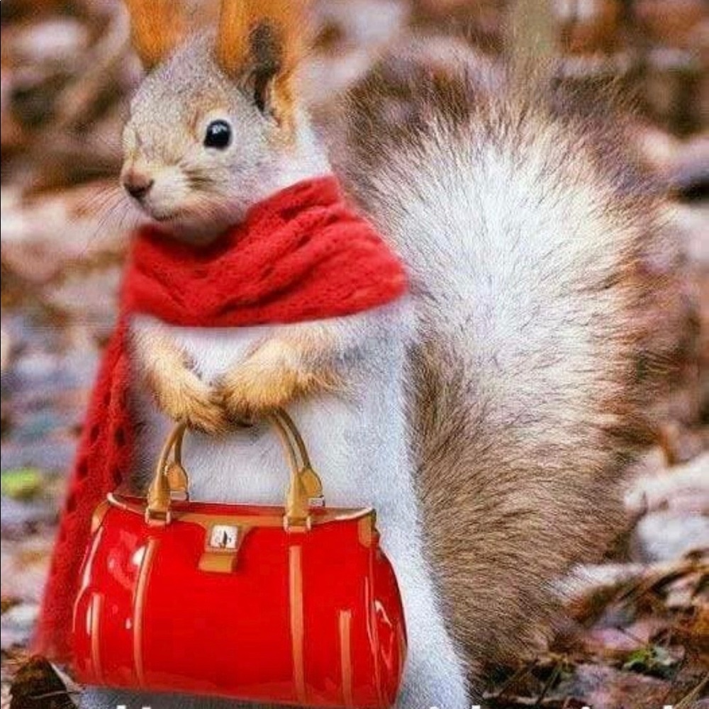 Meet your Posher, Anna